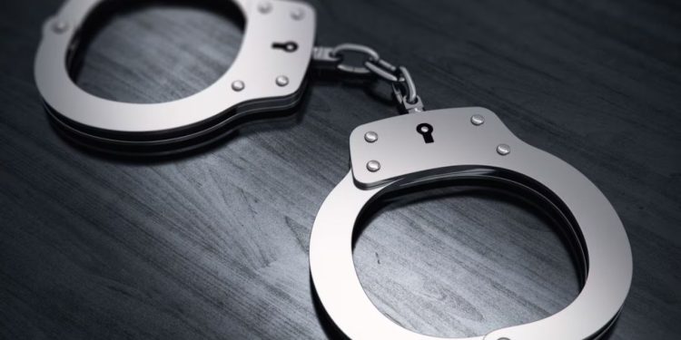 GCSO: Man apprehended after allegedly running over Tallahassee store clerk