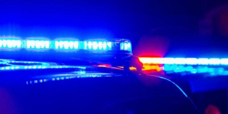 Human Remains Discovered At Mississippi Campsite By Hunters In 2024 Identified