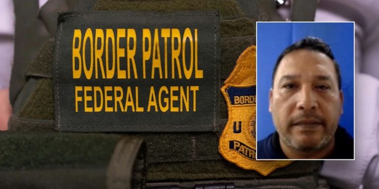 Illegal immigrant taken into custody after showing up to Florida Border Patrol office for contract IT work
