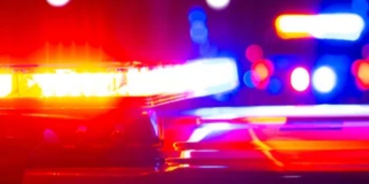 Man apprehended in triple shooting that killed coach and city worker