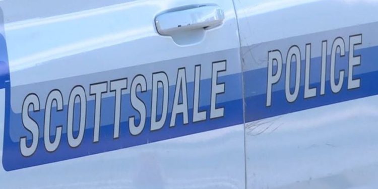 Over 170 apprehend made during Scottsdale’s ‘human exploitation’ operation
