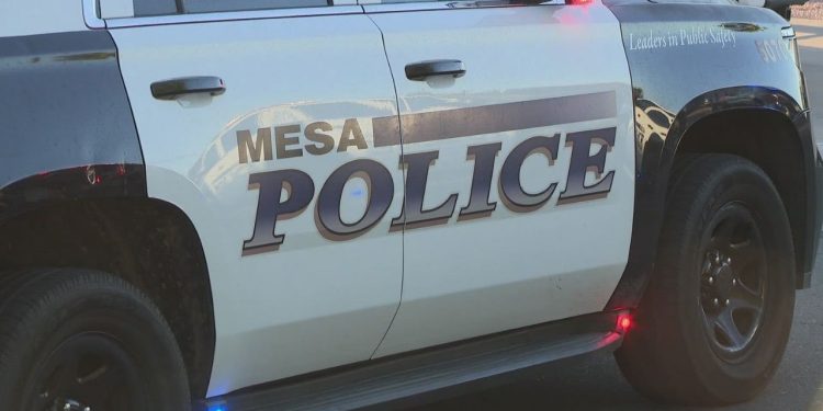 Police: Mesa Teen Allegedly Planned To Carry Out Mass Casualty Incidents At School And Mosque