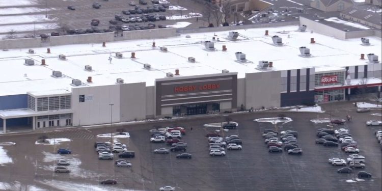 Police: Wisconsin Woman Randomly Crashes Into Two Pedestrians And Stabs Another Person In Gurnee