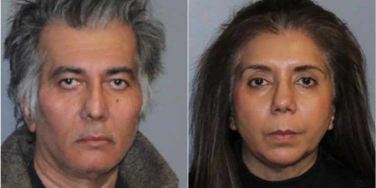 Siblings admit to stealing $90,000 in COVID funds from New York state