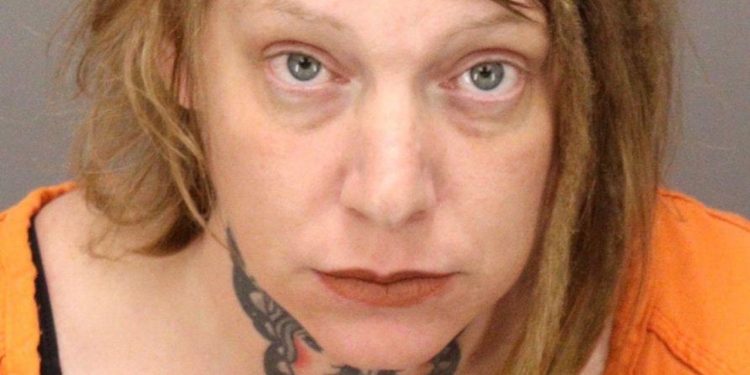 Woman Taken Into Custody On Animal Abandonment Charge In Clearwater