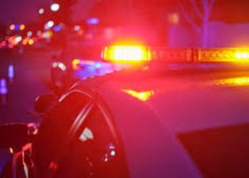 160 missing children Found in New York through coordinated operations