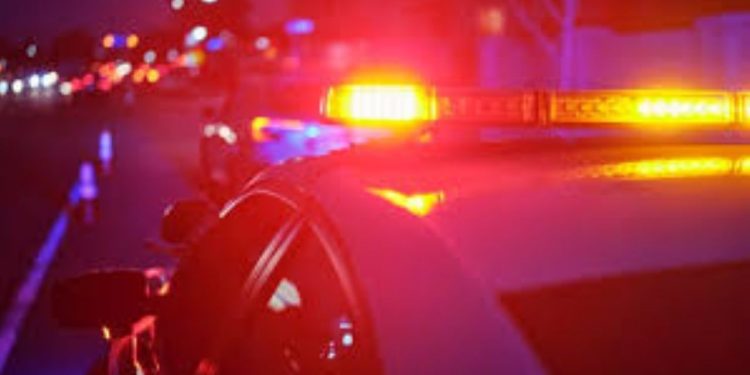 160 missing children Found in New York through coordinated operations