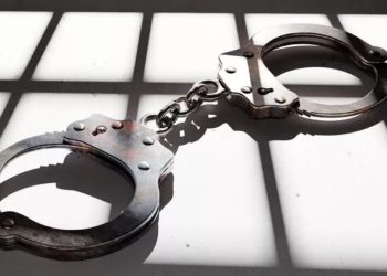 2 Young Girls Escape Kidnapping After Jumping Out of Their Abductor’s Car: Reports