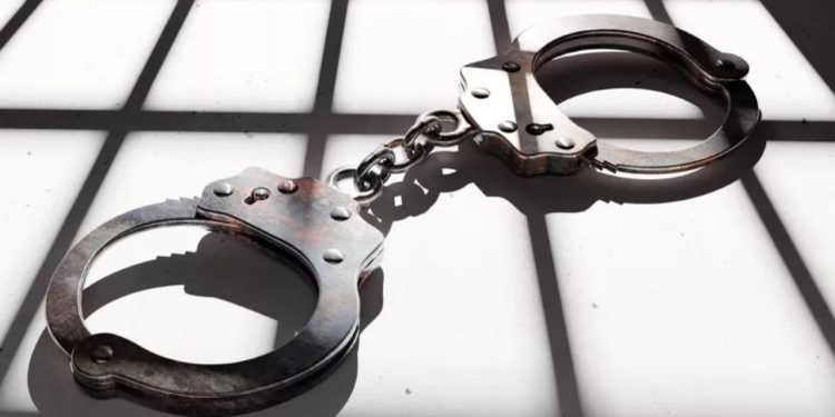 2 Young Girls Escape Kidnapping After Jumping Out of Their Abductor’s Car: Reports