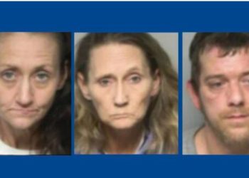 3 people arrested after drug bust in North Carolina