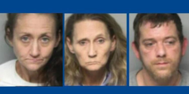 3 people arrested after drug bust in North Carolina