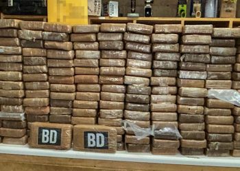 447 pounds of cocaine discovered during traffic stop in Arizona