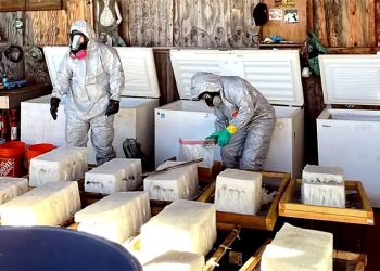 5 Mexican Nationals Indicted After Massive Methamphetamine Lab Bust Uncovers Enormous Quantities Of Drugs