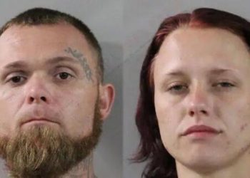 6 Arrested After Lake Wales Hit-and-run Investigation Uncovers Illegal Landfill And Drugs