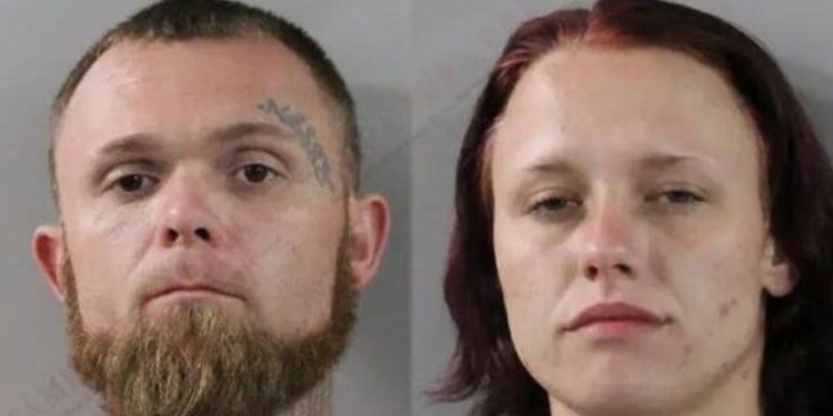 6 Arrested After Lake Wales Hit-and-run Investigation Uncovers Illegal Landfill And Drugs