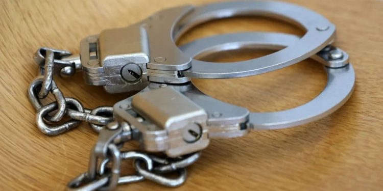 Chicago Teenagers In Custody After Theft Spree At Oak Brook Mall: Prosecutors