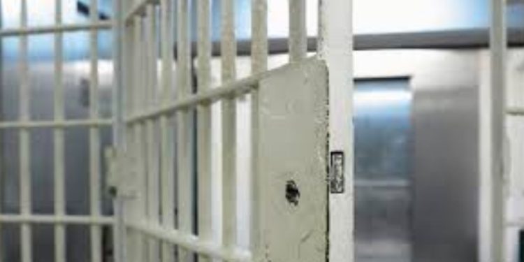 Chicago-area convenience store owner sentenced to prison in WIC fraud scheme