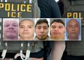 DHS detains 5 illegal immigrants convicted of violent crimes including manslaughter and child assault