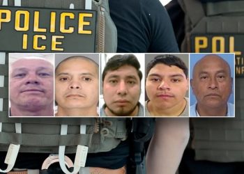 DHS detains 5 illegal immigrants convicted of violent crimes including manslaughter and child assault