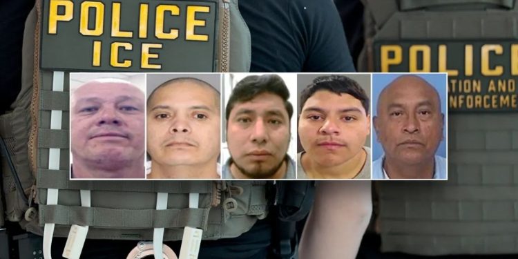 DHS detains 5 illegal immigrants convicted of violent crimes including manslaughter and child assault