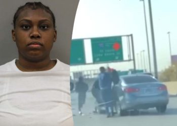 Dan Ryan Expressway Carjacking Gets 6 Year In Prison
