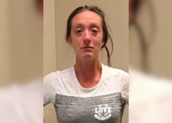 Deadly driver arrested after hitting 2 small children and fleeing, Polk sheriff says