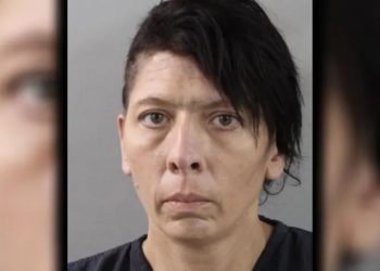 Florida Woman Apprehended After Over 30 Malnourished Dogs Found On Mulberry Property: Investigators