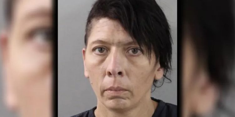 Florida Woman Apprehended After Over 30 Malnourished Dogs Found On Mulberry Property: Investigators