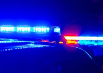 Over 500 Pounds Of Drugs Seized After Traffic Stop On I-35 In Texas