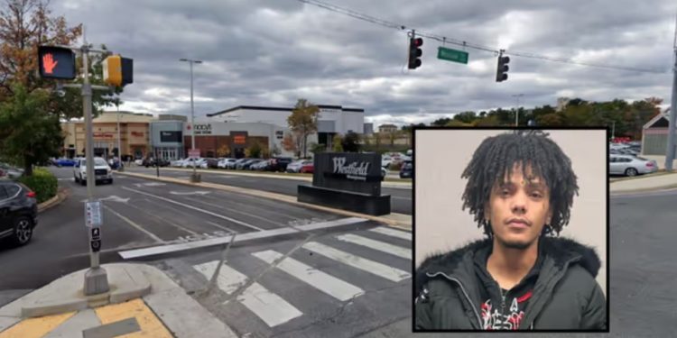 Police: Maryland Murder Suspect Hid With Help From His Mom After Deadly Kidnapping