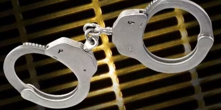 South Carolina Teen Apprehended In Texas Traffic Stop For Drugs And Firearms