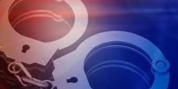 Texas DPS trooper taken into custody after FBI finds chats with minors on seized phone