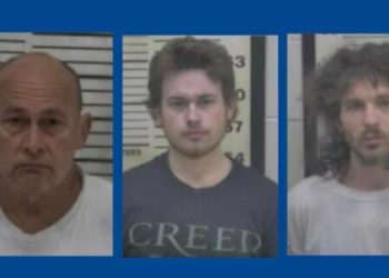 Three people taken into custody after drug bust in Georgia