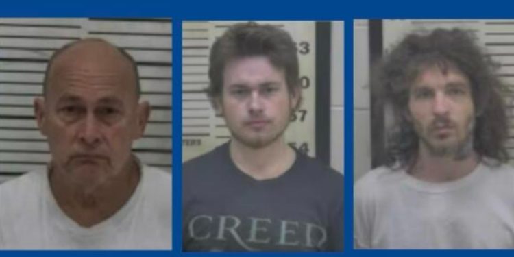 Three people taken into custody after drug bust in Georgia