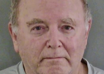 Villager arrested after girl reports seeing ‘weird stuff’ on his phone