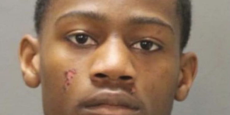 17-Year-Old killed Two Young Men in Florida