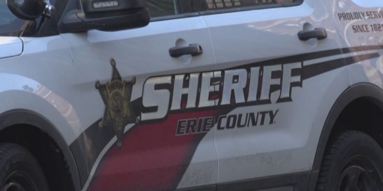 2 men apprehended after SWAT search uncovers drugs and illegal guns