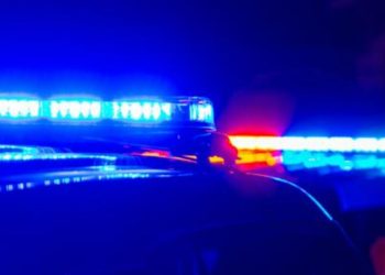 2 people taken into custody following drug bust in Georgia