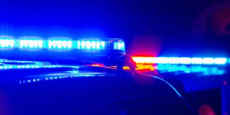 2 people taken into custody following drug bust in Georgia