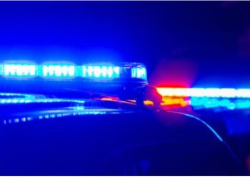 22 people apprehended after drug bust in Georgia