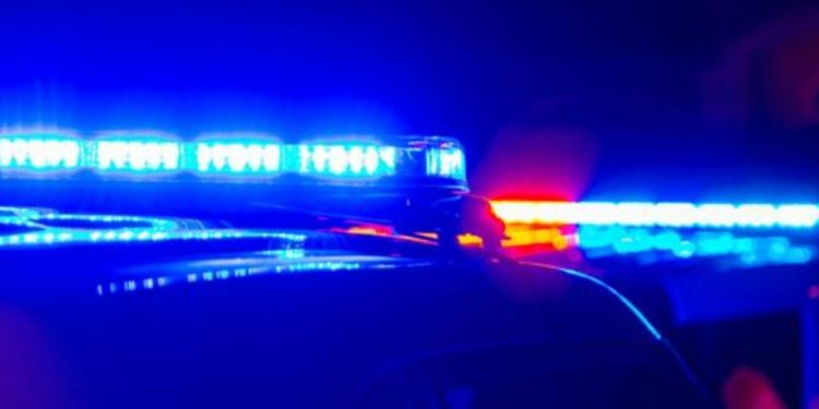 22 people apprehended after drug bust in Georgia