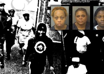 3 Florida Women Charged In $32,000 Organized Retail Theft Of Baby Formula