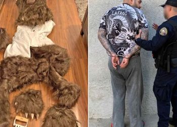 3 People Sentenced To Prison For Fake Bear Attack Insurance Scam