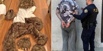 3 People Sentenced To Prison For Fake Bear Attack Insurance Scam