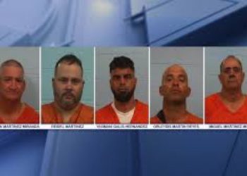 5 Cattle Rustlers Charged for Stealing And Slaughtering Texas Livestock: Sheriff