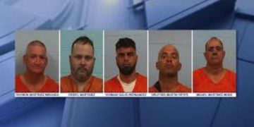 5 Cattle Rustlers Charged for Stealing And Slaughtering Texas Livestock: Sheriff