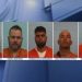 5 Cattle Rustlers Charged for Stealing And Slaughtering Texas Livestock: Sheriff