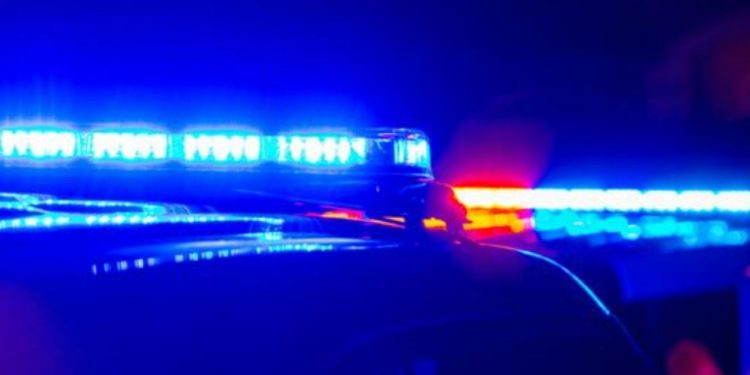 9 people arrested after drug bust in Florida