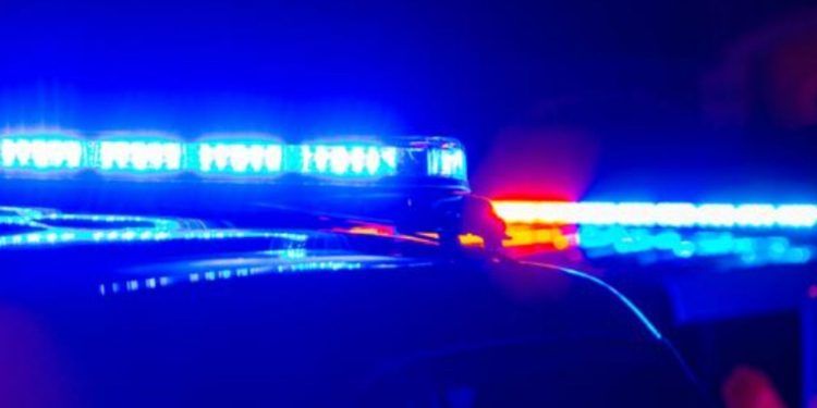 9 people arrested after large drug bust in Florida