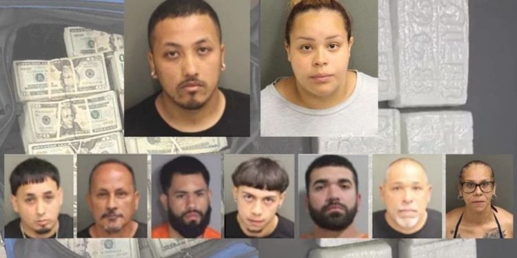 9 people arrested and $1.13M cash, 40 kgs of cocaine seized in Puerto Rico to Florida mail pipeline